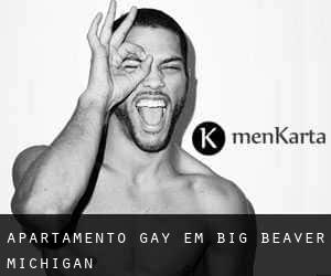Apartamento Gay em Big Beaver (Michigan)