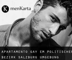 Apartamento Gay em Politischer Bezirk Salzburg Umgebung