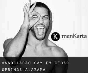 Associação Gay em Cedar Springs (Alabama)