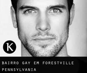 Bairro Gay em Forestville (Pennsylvania)