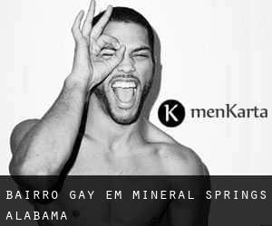 Bairro Gay em Mineral Springs (Alabama)