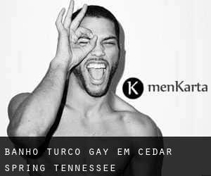 Banho Turco Gay em Cedar Spring (Tennessee)