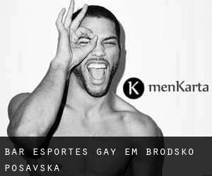 Bar Esportes Gay em Brodsko-Posavska