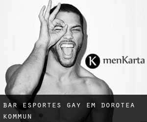 Bar Esportes Gay em Dorotea Kommun