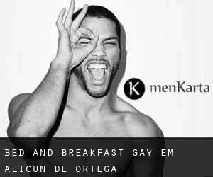 Bed and Breakfast Gay em Alicún de Ortega