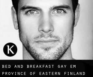 Bed and Breakfast Gay em Province of Eastern Finland