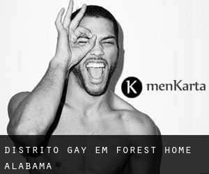 Distrito Gay em Forest Home (Alabama)