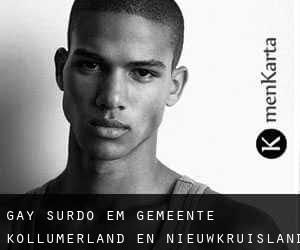 Gay Surdo em Gemeente Kollumerland en Nieuwkruisland