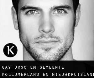 Gay Urso em Gemeente Kollumerland en Nieuwkruisland