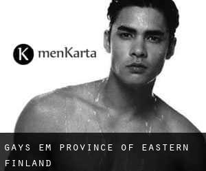 Gays em Province of Eastern Finland