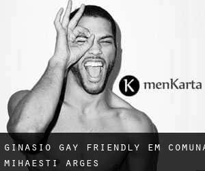 Ginásio Gay Friendly em Comuna Mihăeşti (Argeş)