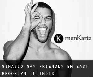 Ginásio Gay Friendly em East Brooklyn (Illinois)
