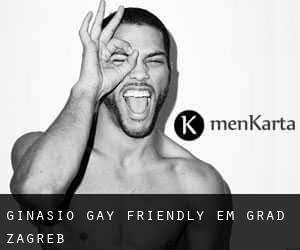 Ginásio Gay Friendly em Grad Zagreb