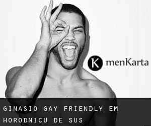 Ginásio Gay Friendly em Horodnicu de Sus