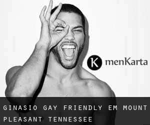 Ginásio Gay Friendly em Mount Pleasant (Tennessee)