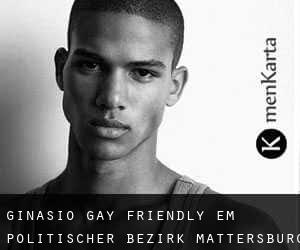 Ginásio Gay Friendly em Politischer Bezirk Mattersburg