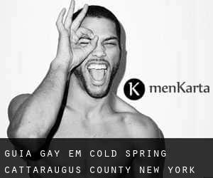 guia gay em Cold Spring (Cattaraugus County, New York)