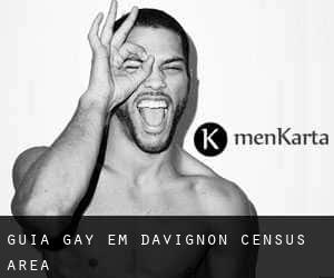 guia gay em Davignon (census area)