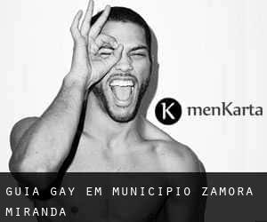 guia gay em Municipio Zamora (Miranda)