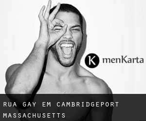 Rua Gay em Cambridgeport (Massachusetts)